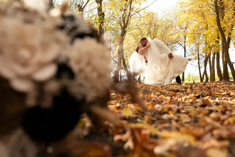 Groom dipping the bride for a kiss under golden fall leaves